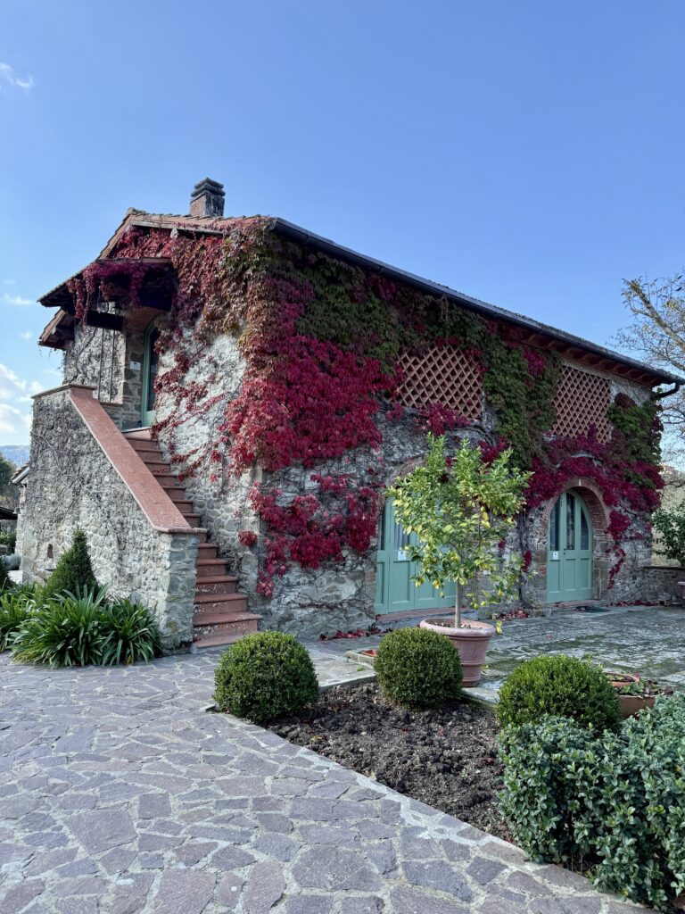 Outdoor pizza-making evening using a traditional brick oven at a private Tuscan villa